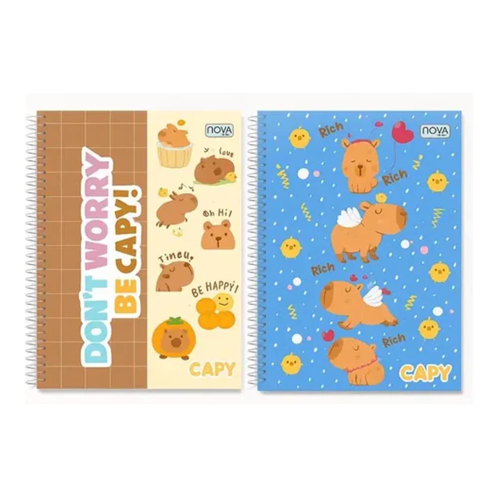 CADERNO 1 MATERIA CAPY 80FLS NOVA